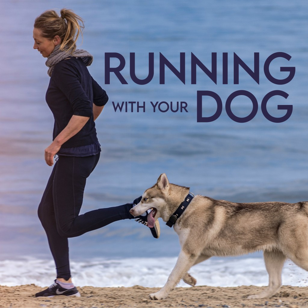 Running with Your Dog: Tips and Benefits